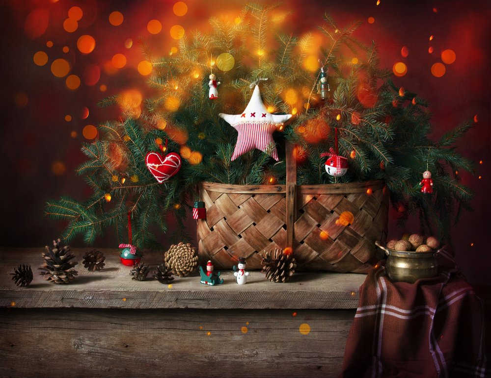 Photograph by Елена Шичко