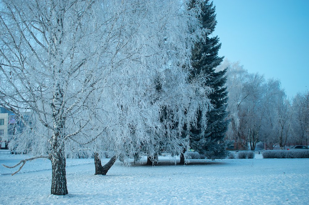 Photograph by Анастасия Нагайцева
