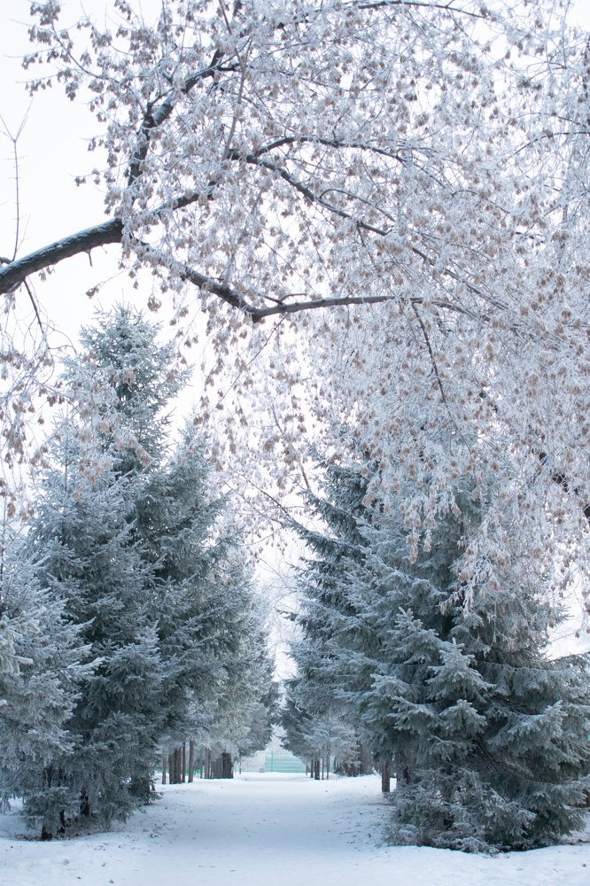 Photograph by Анастасия Нагайцева