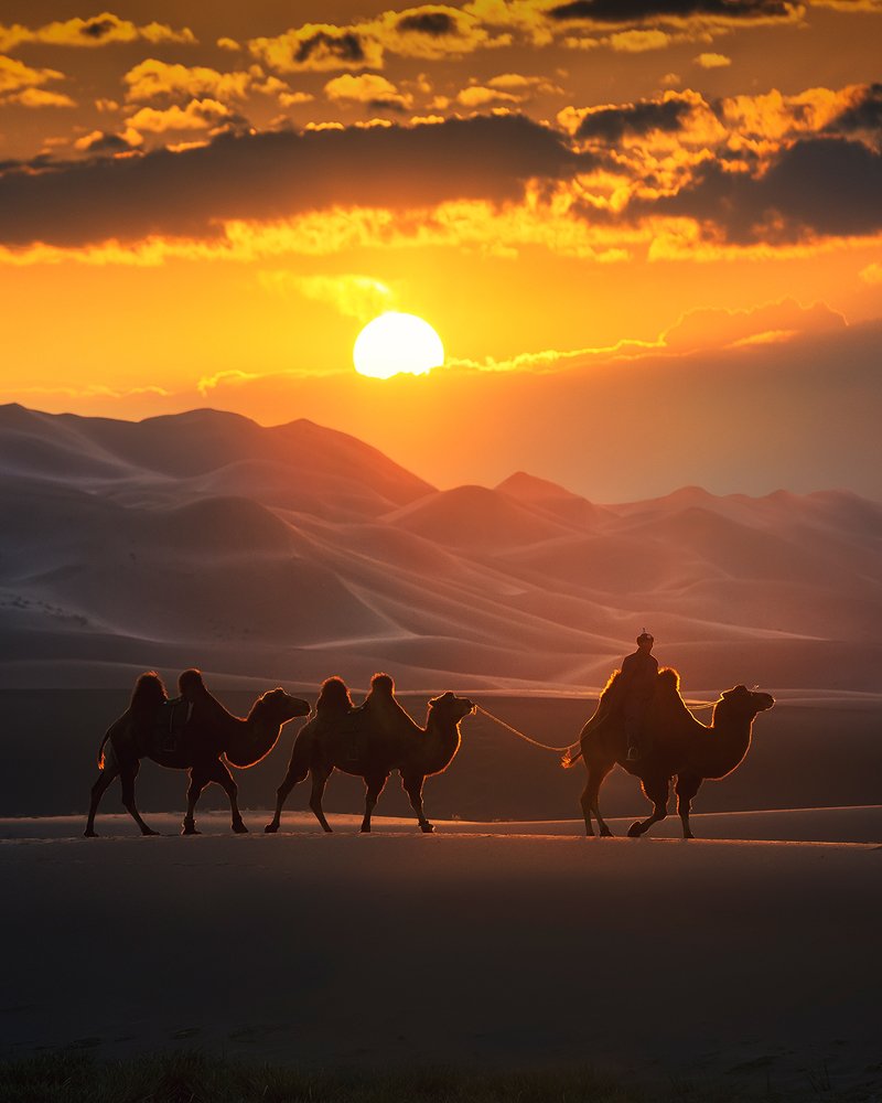 Sunset in Gobi desert