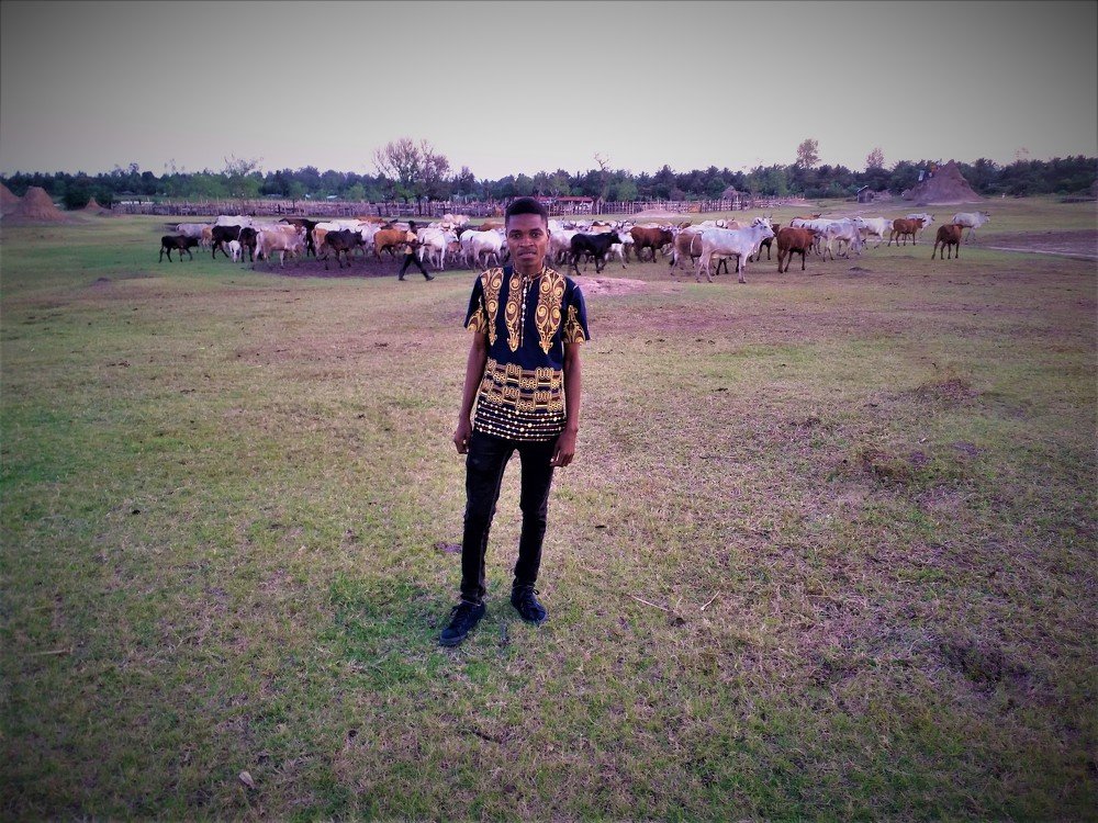 Photograph by Clementino Félix Meio-dia