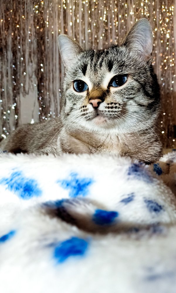 Photo #5495055