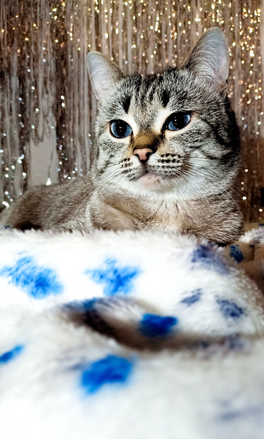 Photo #5495055