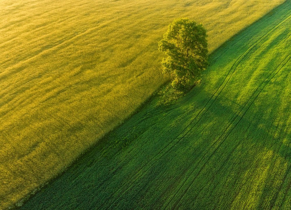 Photograph by Устюжанин Михаил