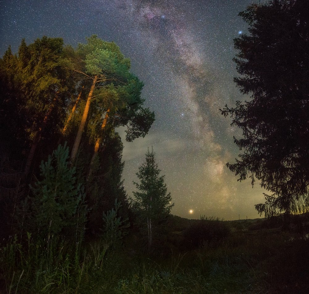 Photograph by Устюжанин Михаил