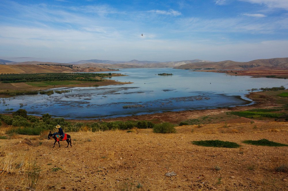 Photograph by Михаил Азаров