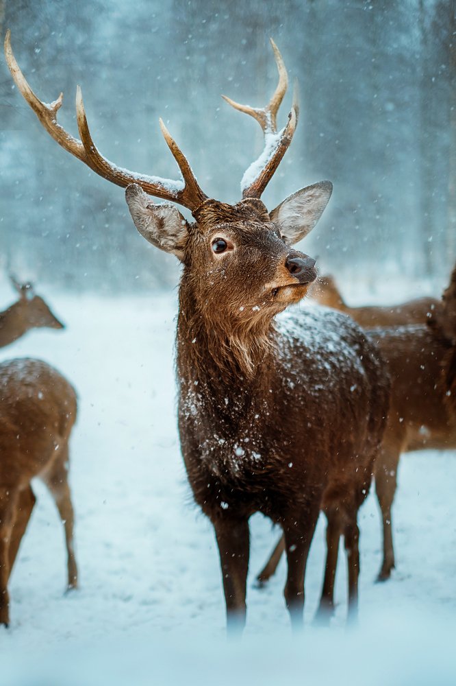 Photograph by Ирина