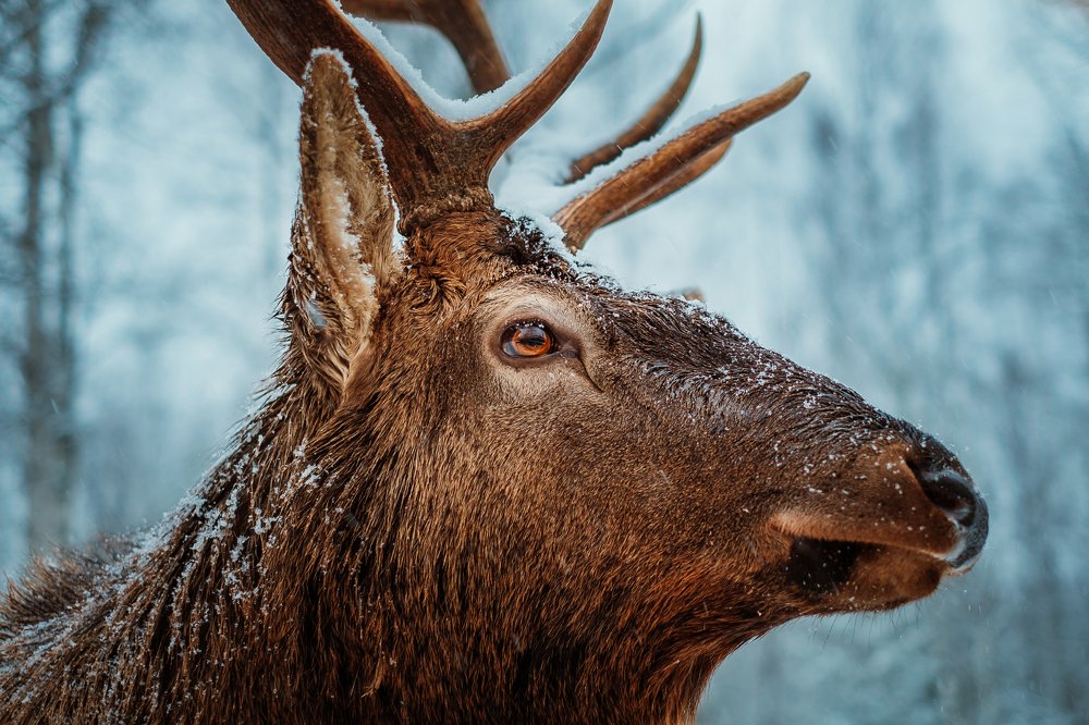 Photograph by Ирина