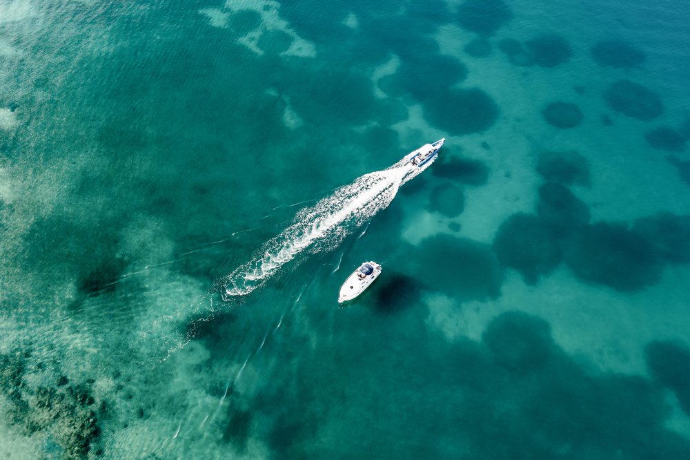 Photograph by Roksana Bashyrova