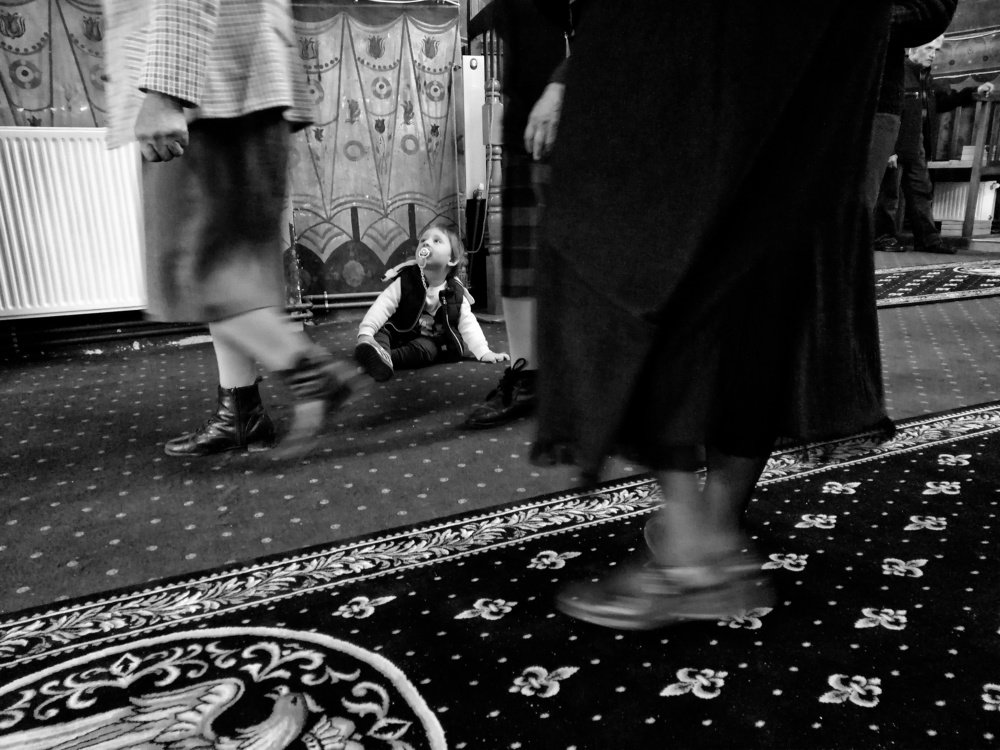 Photograph by Andra Elena Panainte