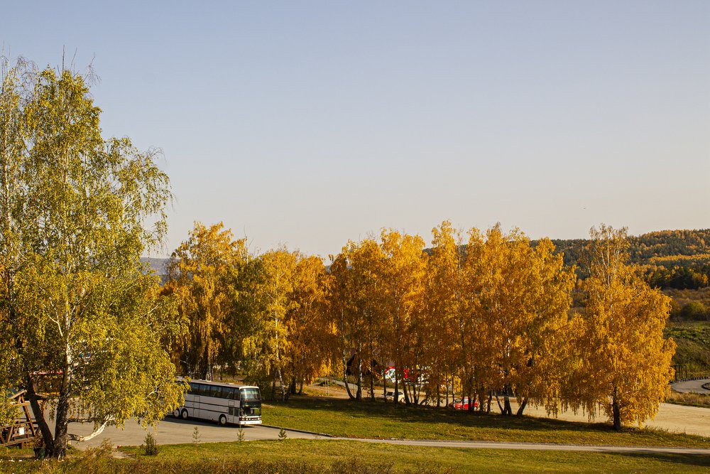 Photograph by Попел Ирина