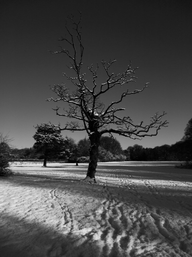 Photograph by Раиса Ламли