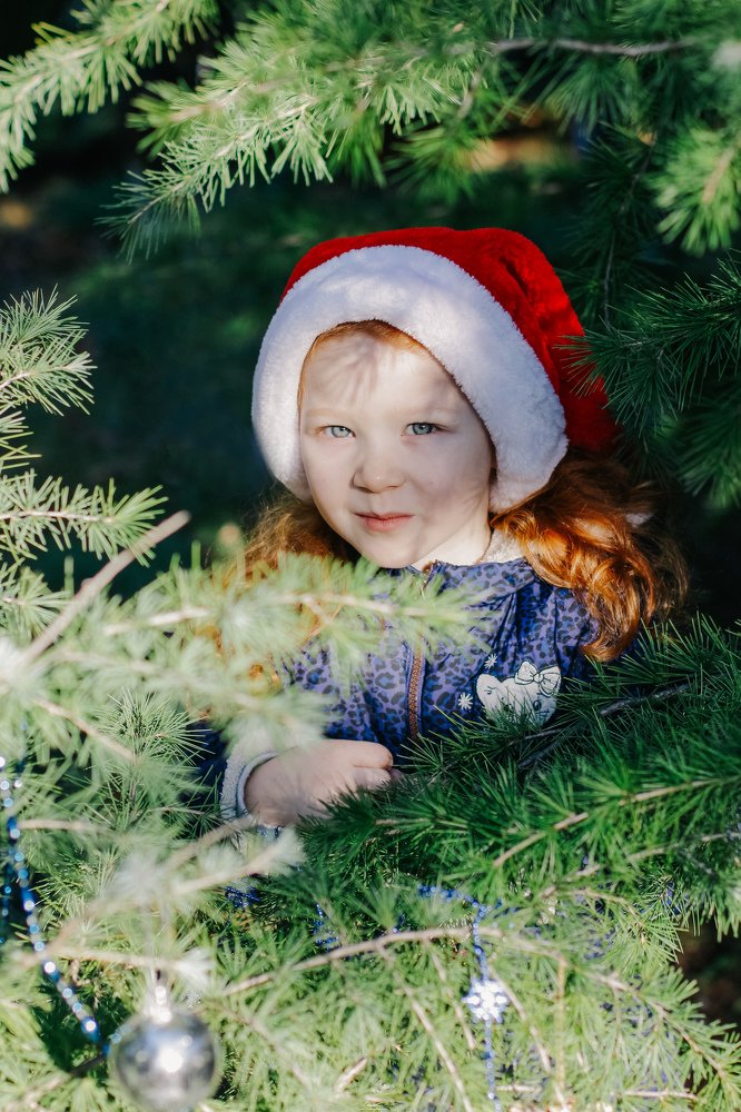 Photograph by Светлана Збраилова