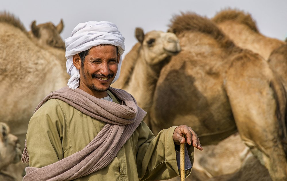 Фотография автора Sherine El Mously