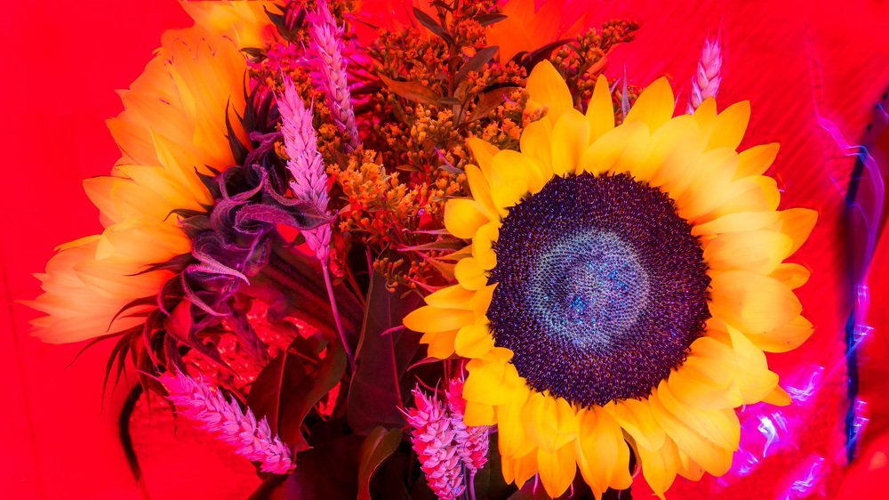 Фотография автора Viaceslavas Bazykas