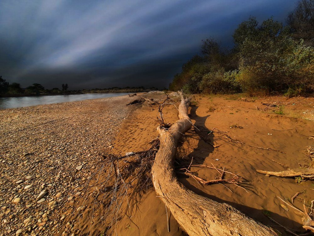 Photograph by Khaled ahmadi