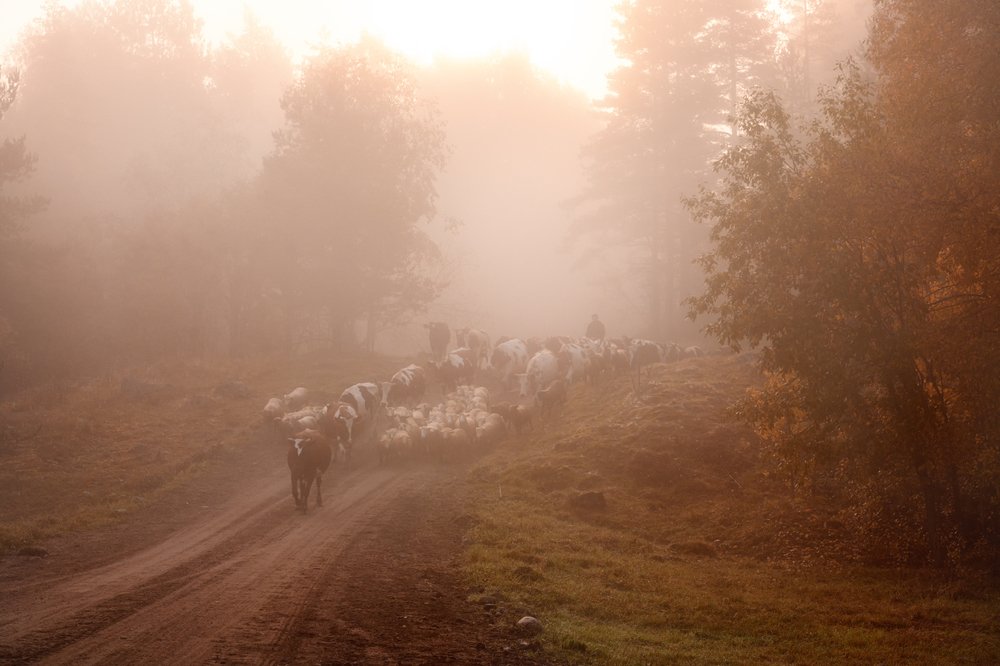 Photograph by Юлия Лаптева