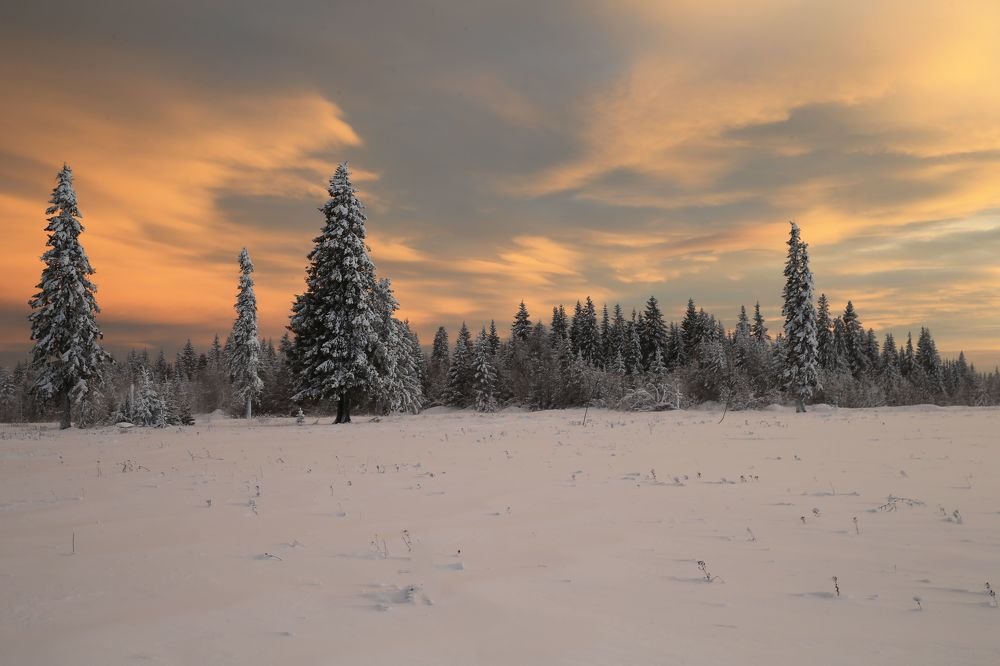 Фотография автора Юрий Кетель