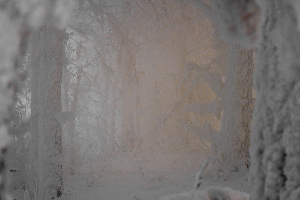 Photograph by Ирина Окладникова