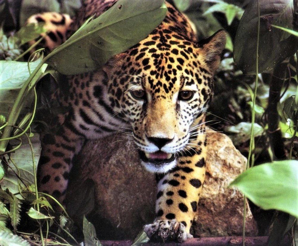 Photograph by Галина