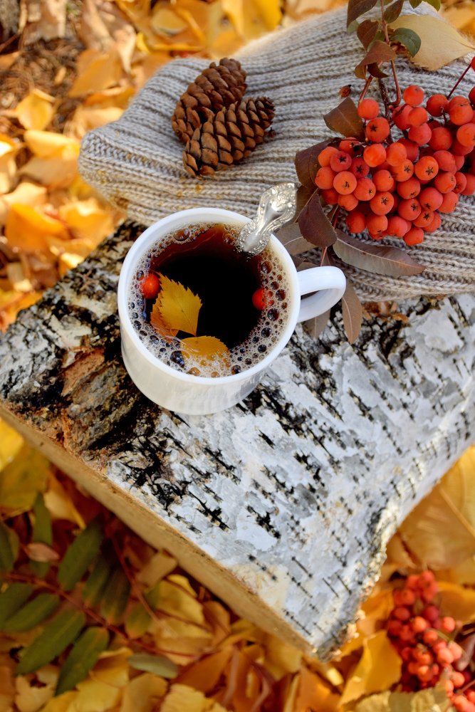 Photograph by Татьяна Дорожко