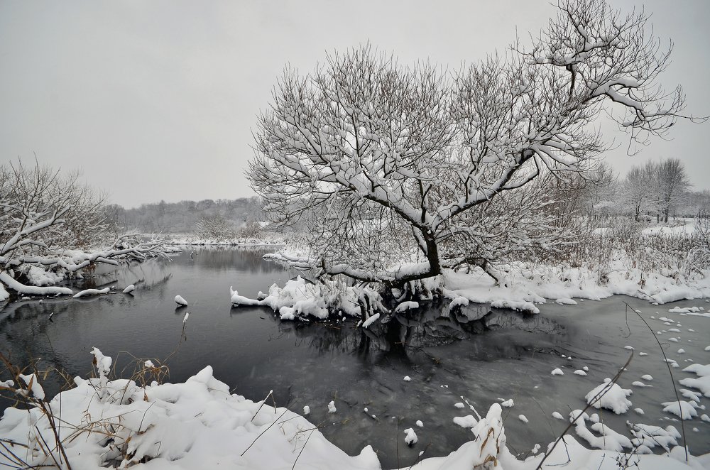 Фотография автора Антип