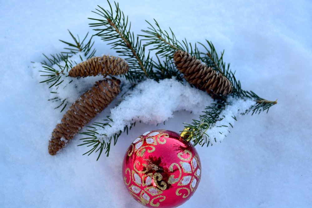 Photograph by Татьяна Дорожко