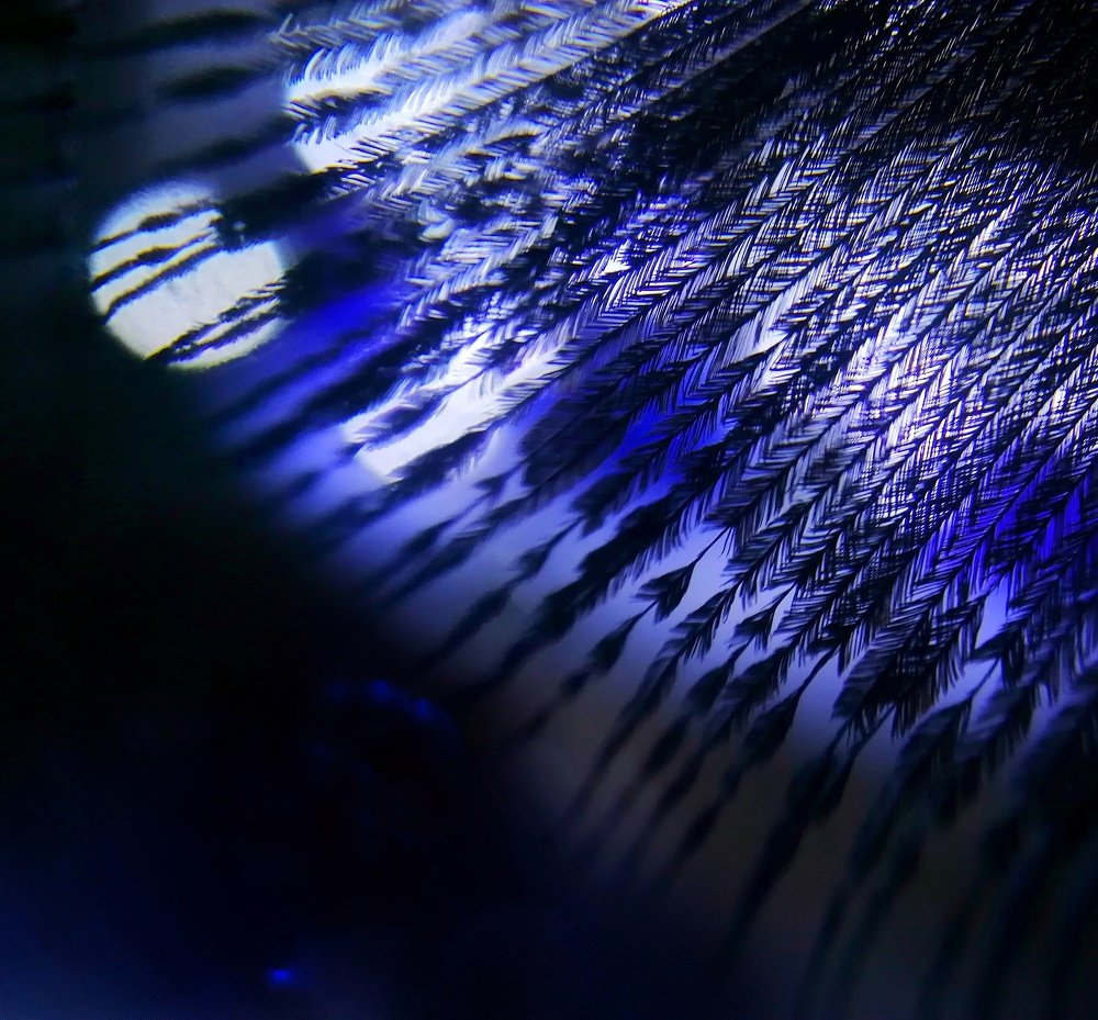 Photograph by Оксана Шевченко