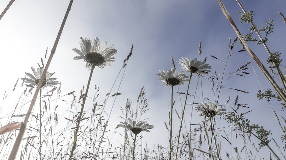 Photograph by Константин Пелых