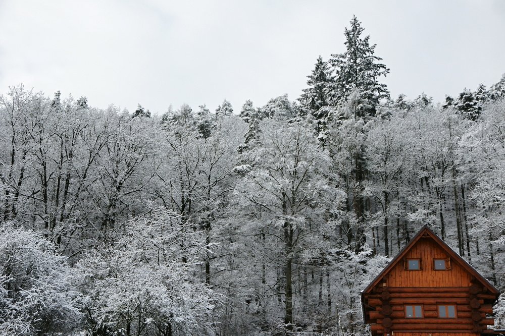 Photograph by Simona Procklova