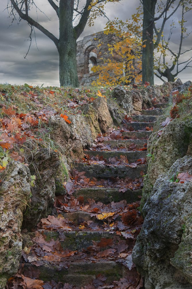 Photograph by Олег Атласов