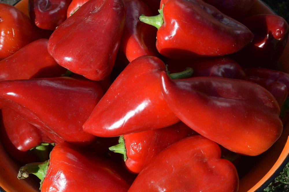 Photograph by Татьяна Дорожко