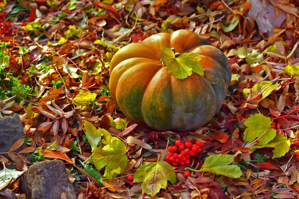 Photograph by Татьяна Дорожко