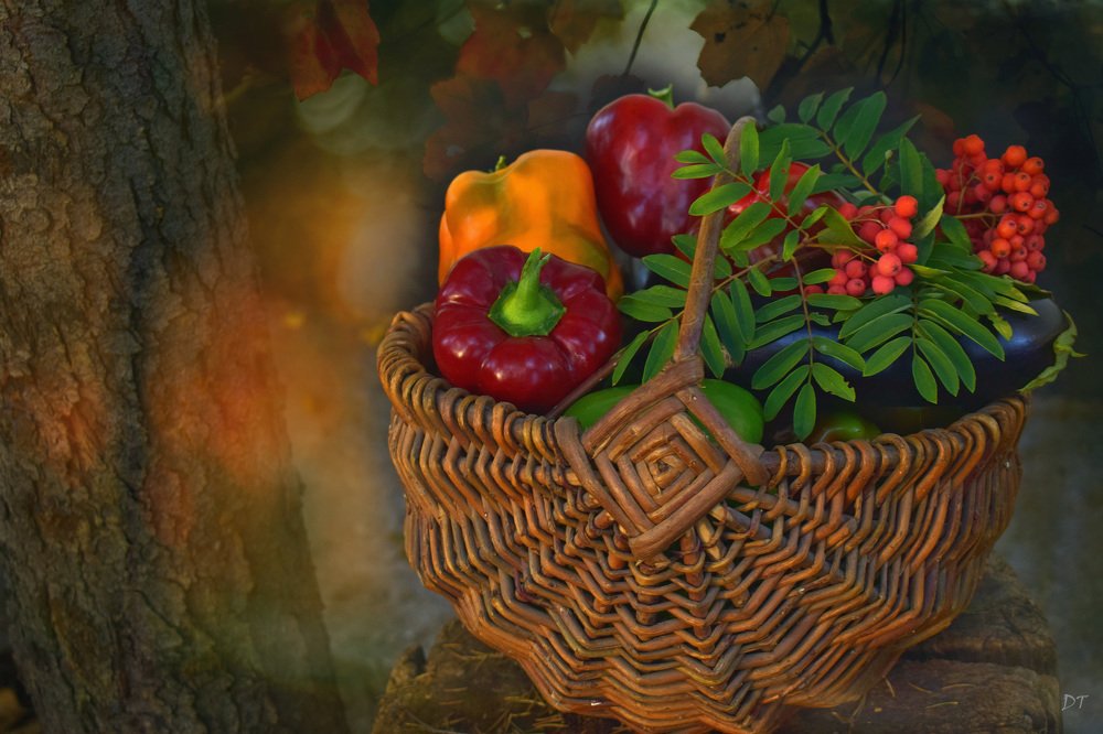 Photograph by Татьяна Дорожко