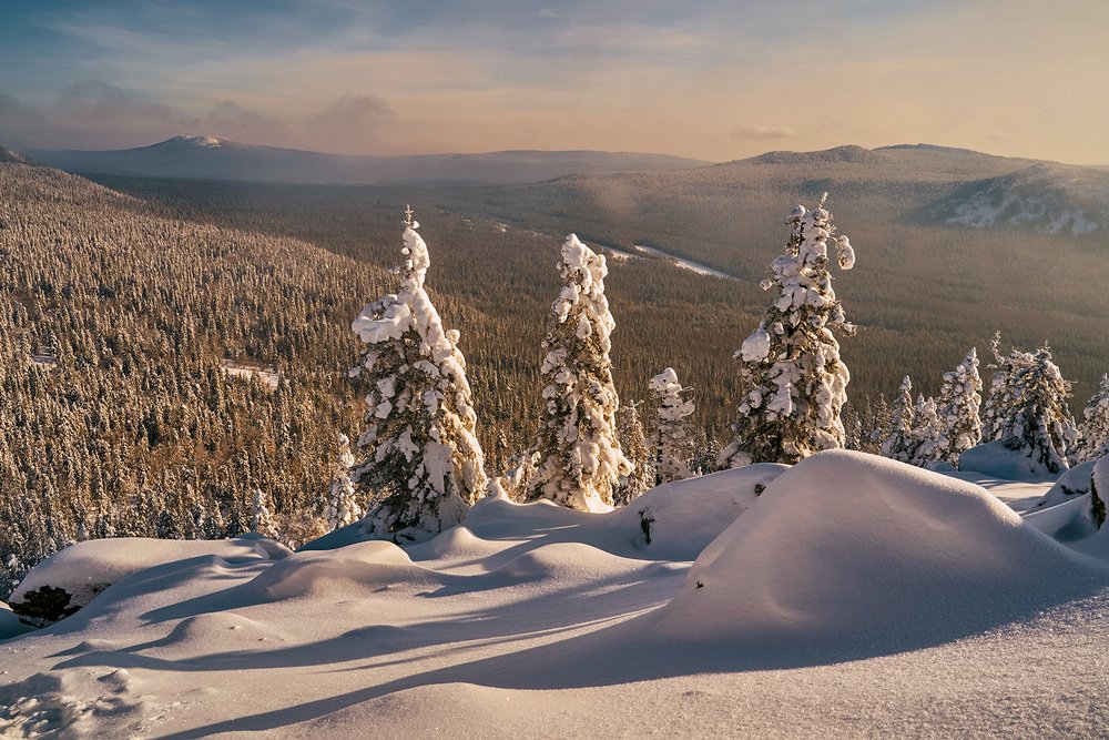 Photograph by Николай Алехин