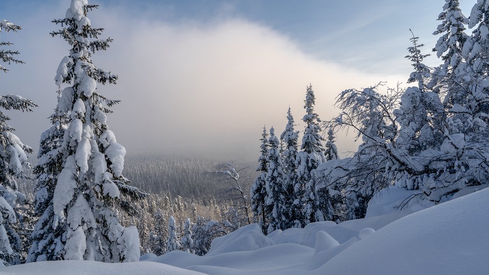 Photograph by Николай Алехин