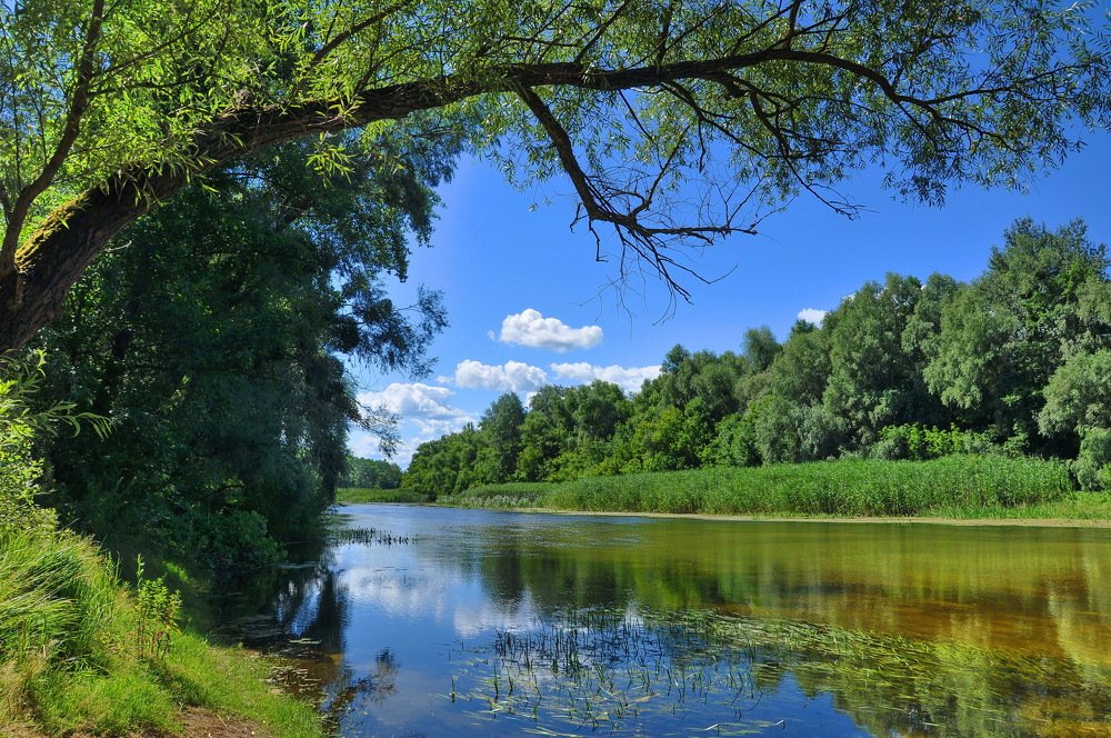 Photograph by Александр Штифман