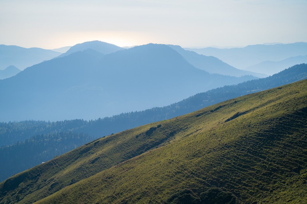 Photograph by Владимир Алехин