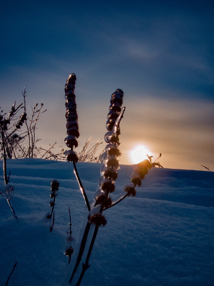 Photograph by Елена Малкова