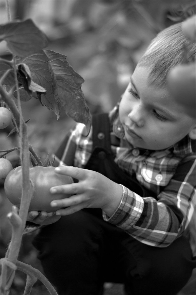 Photograph by Манске