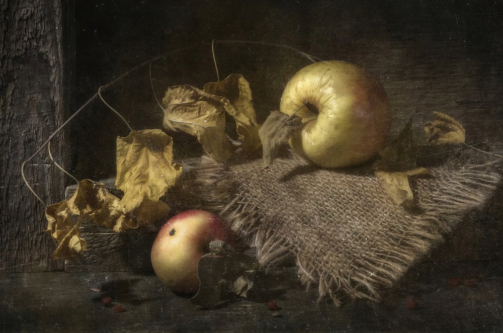 Оставленные осенью...