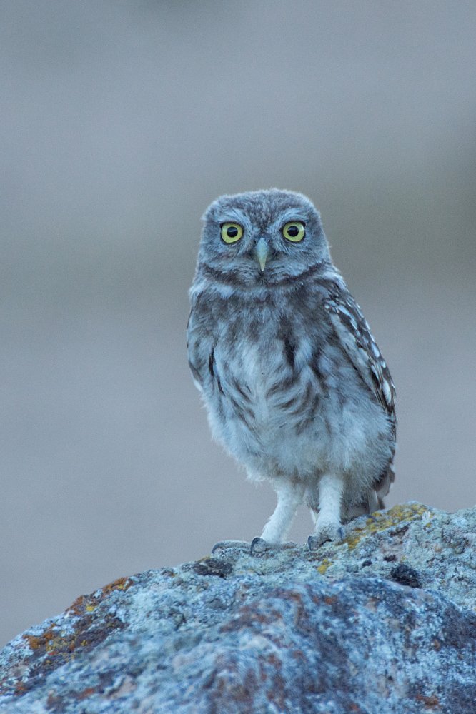 Photograph by Marcos Contreras Ortiz