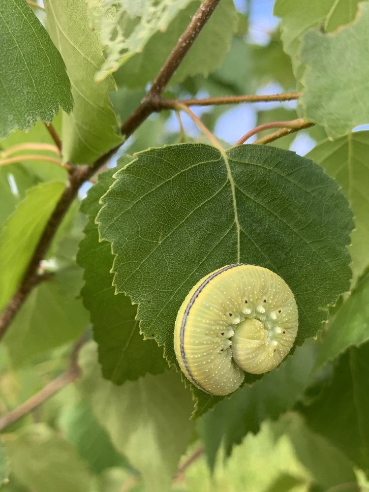 Photograph by Стрельникова Елена