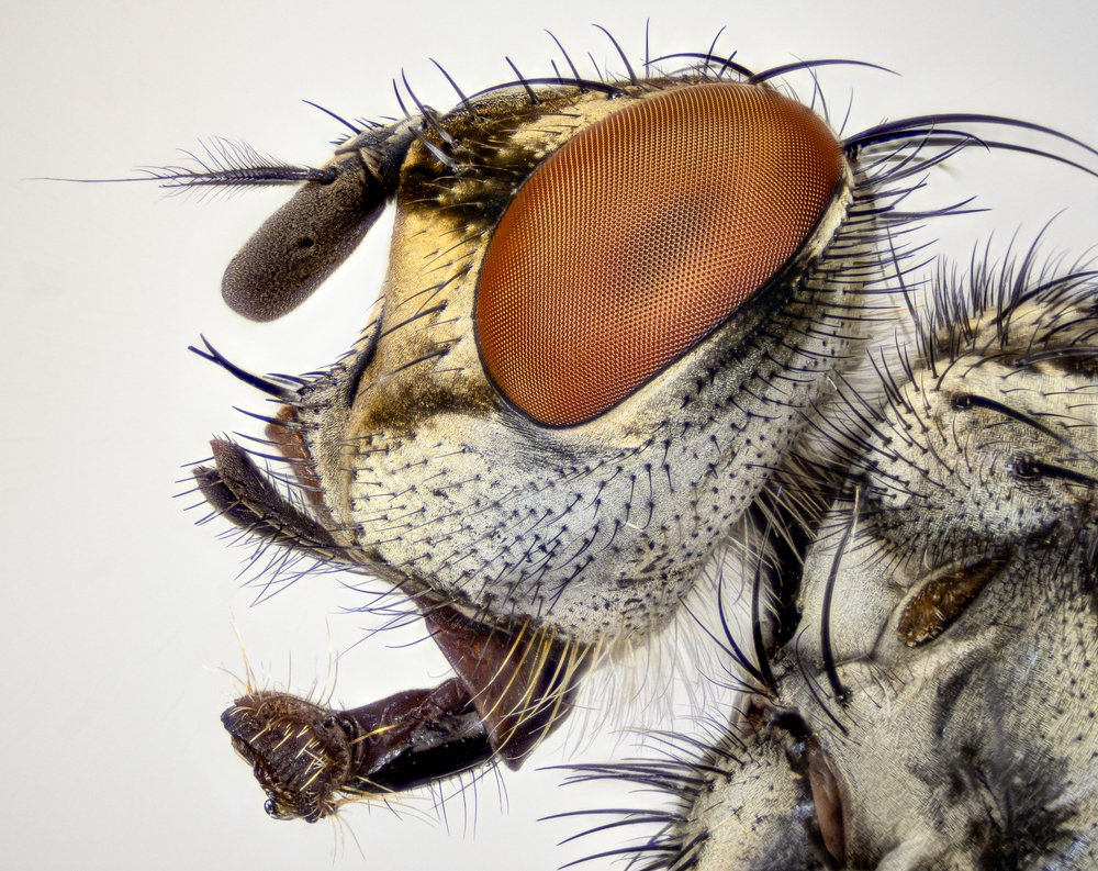 Photograph by Grzegorz Jermolaj