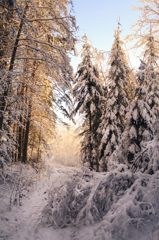 Photograph by Наталья Шкроб