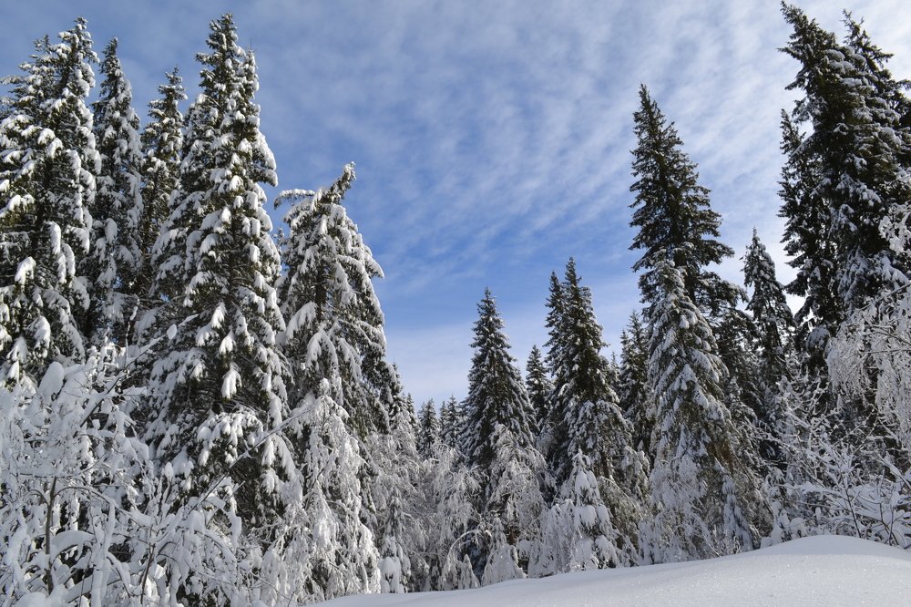 winter in the Carpathians