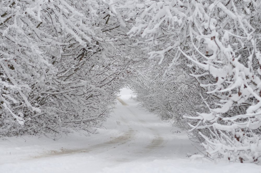 Photograph by Виктория Потапова