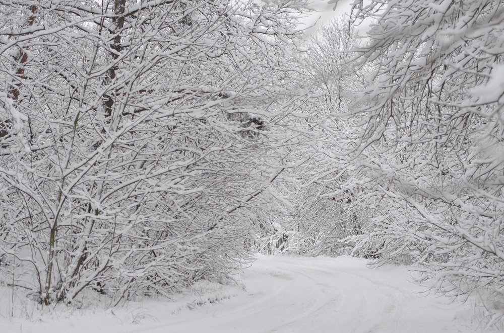 Photograph by Виктория Потапова