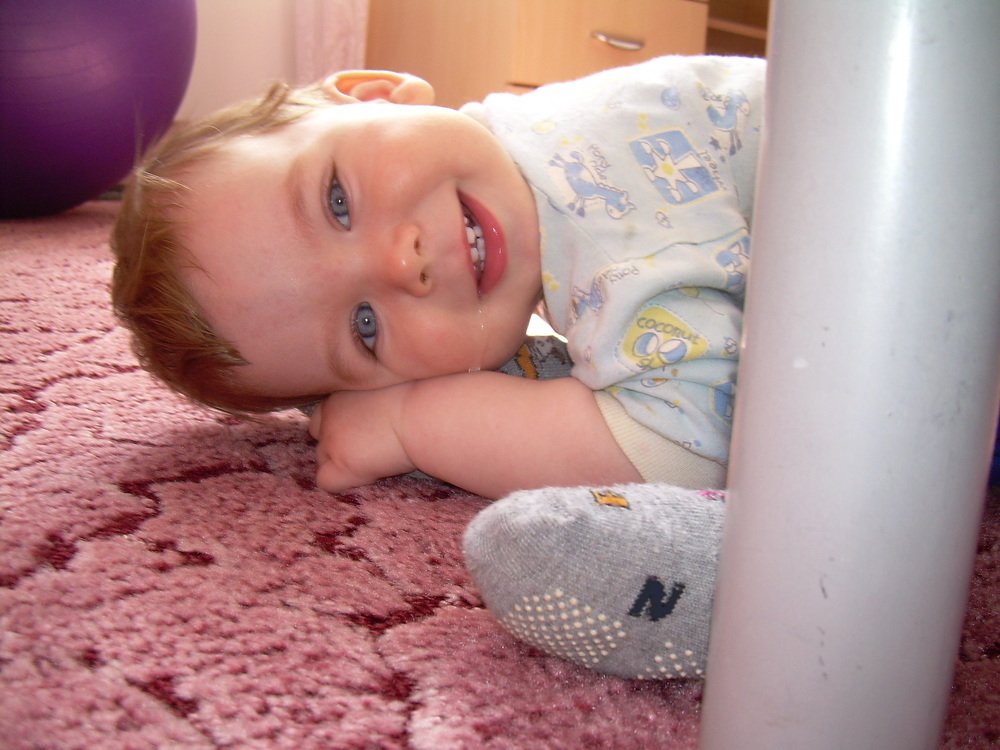 Photo #5496792