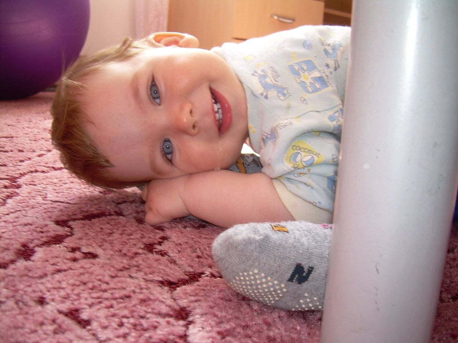 Photo #5496792